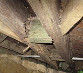 termite damage under decking